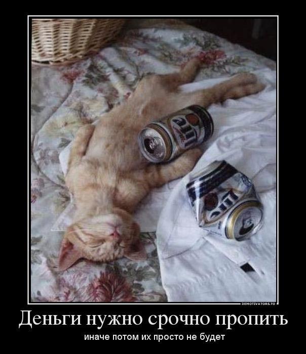 Демотиваторы (69 фото)