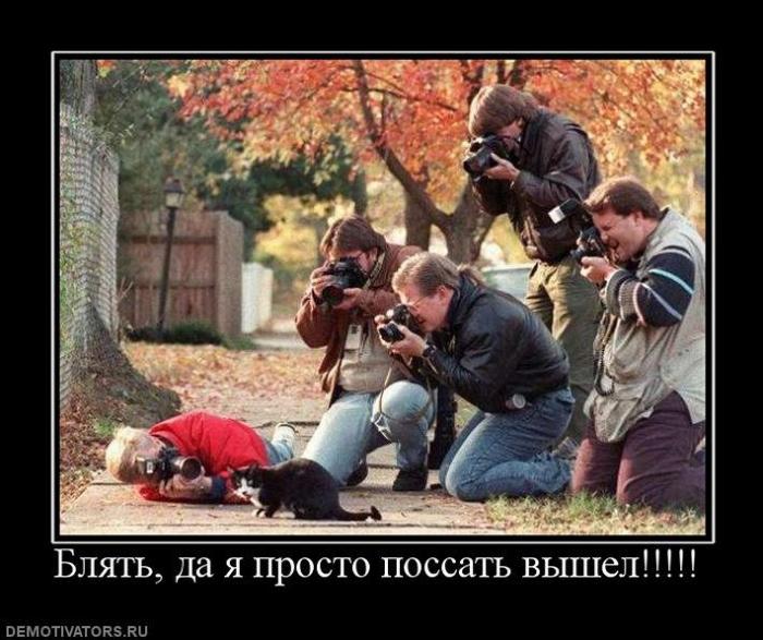 Демотиваторы (69 фото)