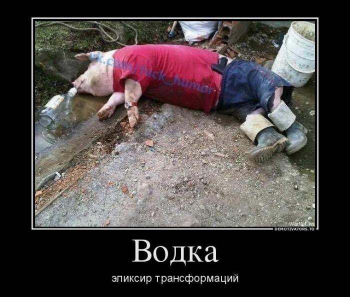 Демотиваторы (69 фото)