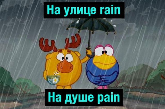 Прикольные картинки