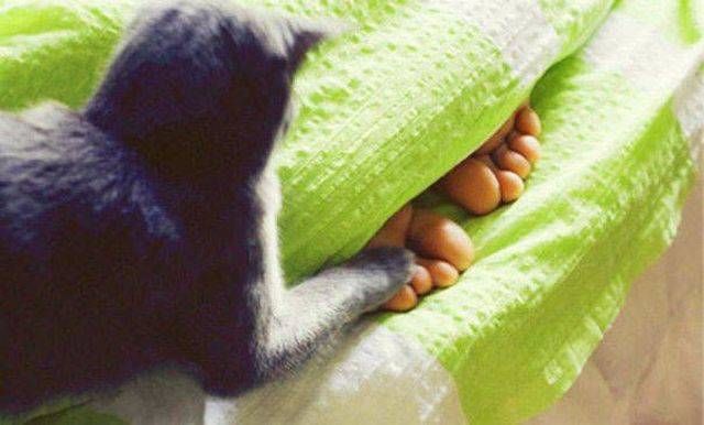 Прикольные картинки