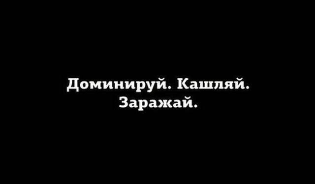 Прикольные картинки