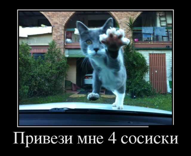 Демотиваторы
