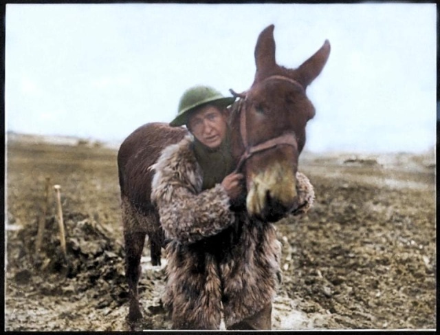 Колоризированные фотографии Первой мировой войны