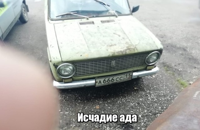 Прикольные картинки