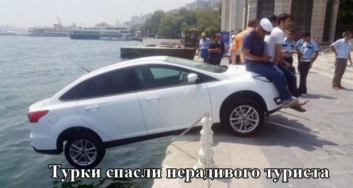 Порция картинок