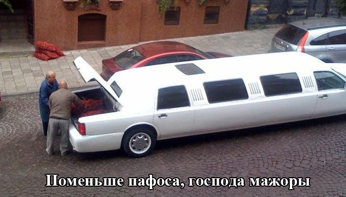 Порция картинок
