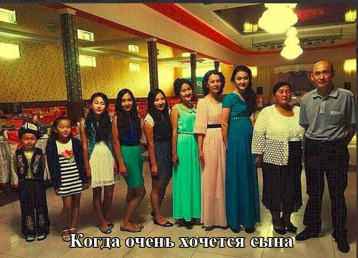Порция картинок