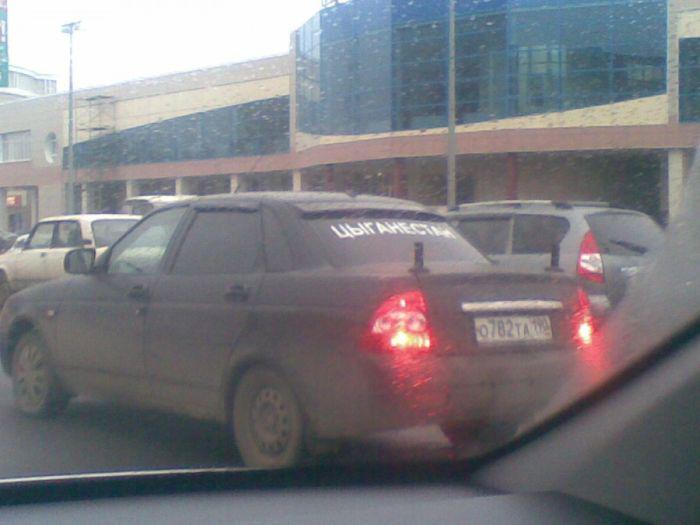 Прикольные картинки