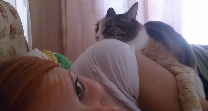 Прикольные картинки (77 фото)