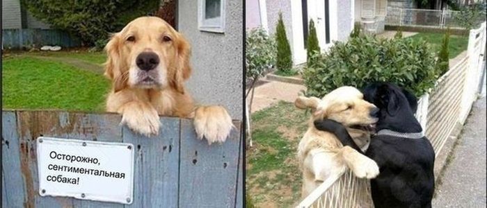 Прикольные картинки (77 фото)