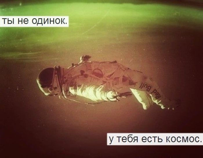 Прикольные картинки (77 фото)