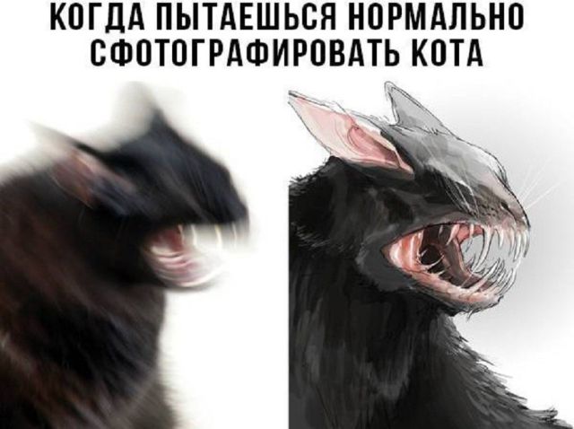 Смешные комиксы