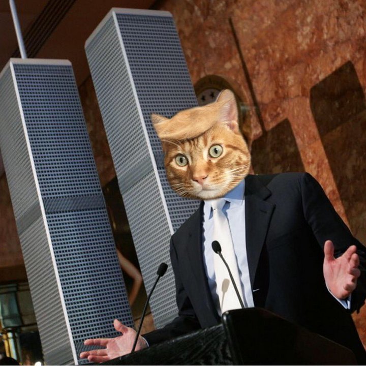Tramp you Cat: Преврати кота в Трампа!