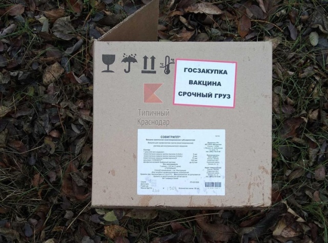 В лесу под Краснодаром нашли коробки с вакцинами
