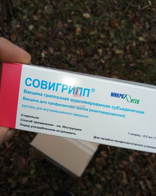 В лесу под Краснодаром нашли коробки с вакцинами