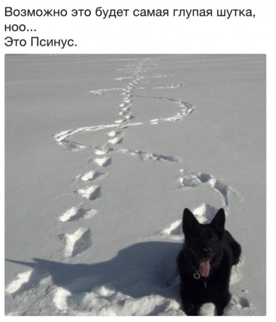 Юмор, который заставит вас задуматься