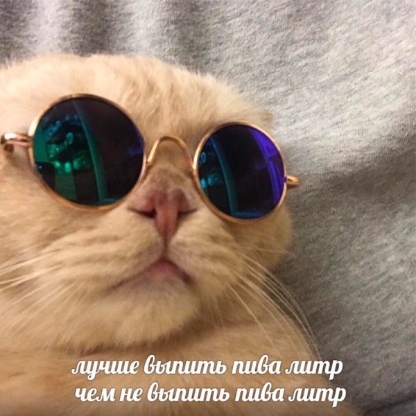 Шутки и веселые картинки без смысловой нагрузки