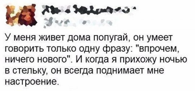 Шутки и веселые картинки без смысловой нагрузки
