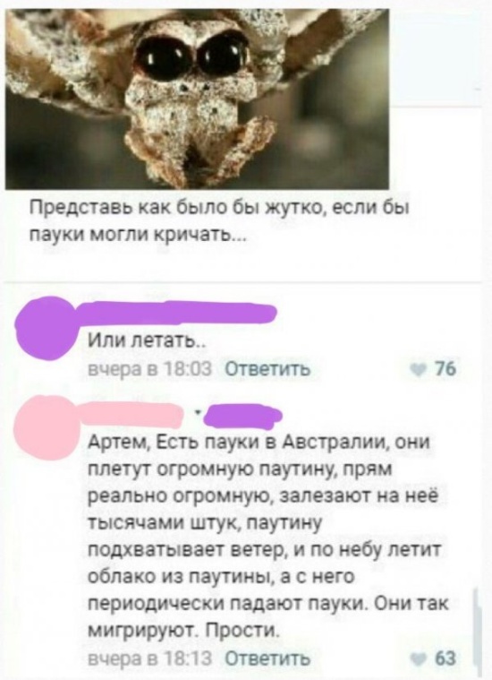 Шутки и веселые картинки без смысловой нагрузки