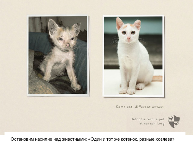 Социальная реклама, которая достойна вашего внимания
