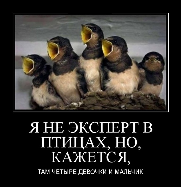 Демотиваторы