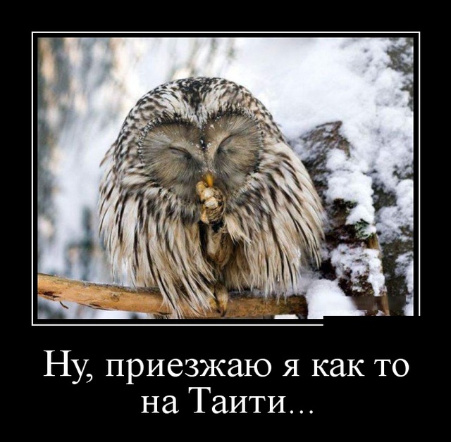 Демотиваторы
