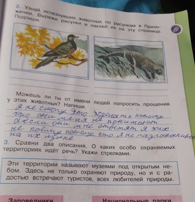 Странности, которые можно увидеть в современных учебниках