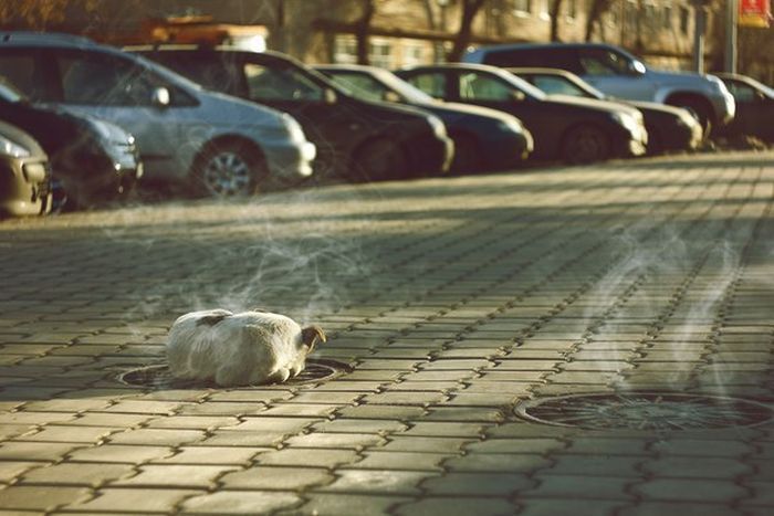 Сильные фотографии (50 фото) Сильные фотографии (50 фото)