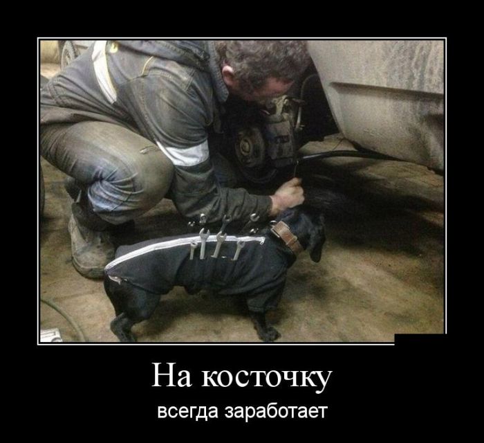 Демотиваторы