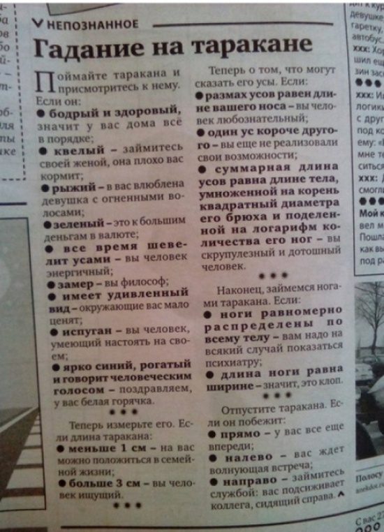 Самые запоминающие «маразмы» уходящего года