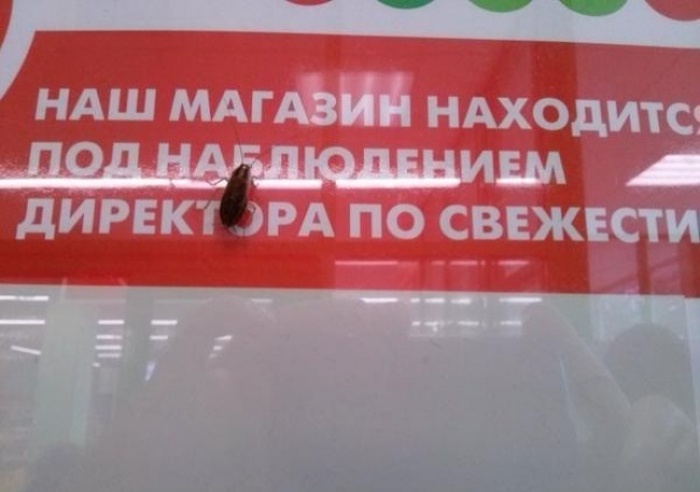 Самые запоминающие «маразмы» уходящего года