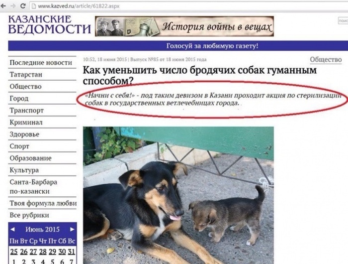 Самые запоминающие «маразмы» уходящего года