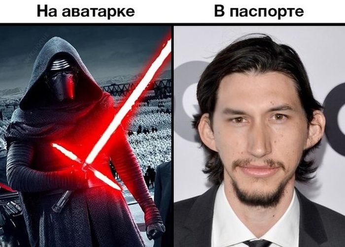 Прикольные картинки