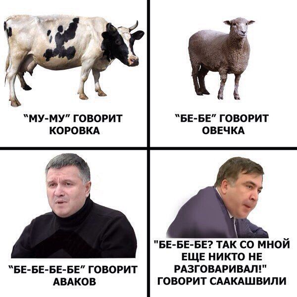 Прикольные картинки
