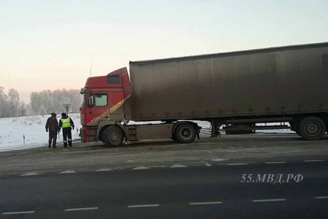 Полицейские спасли дальнобойщика, который едва не замерз на трассе Омск - Новосибирск