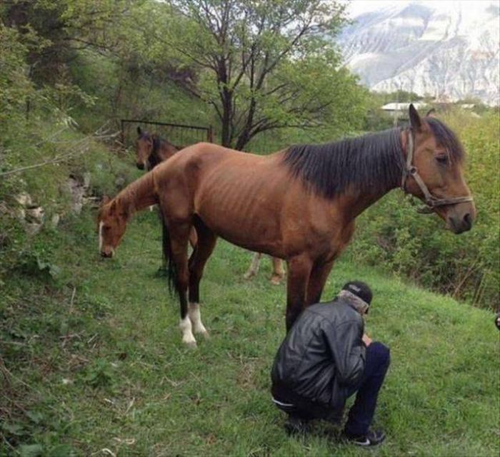 Фото, которые требуют внимания