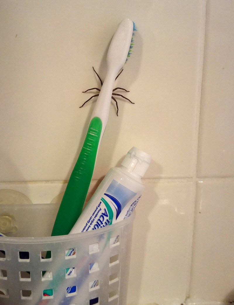 Дерьмо случается