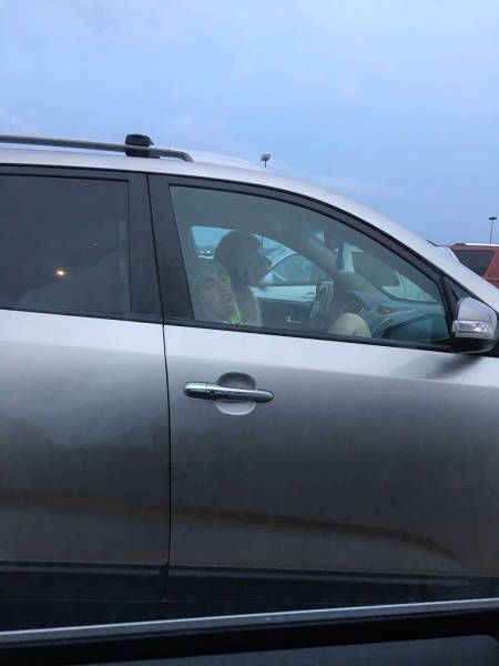 Прикольные картинки