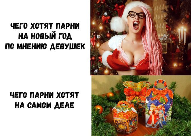Прикольные картинки