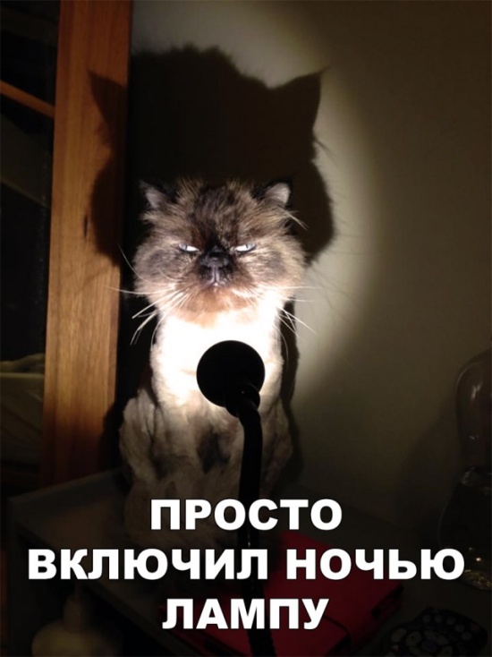 Простые шутки и юмор с просторов сети