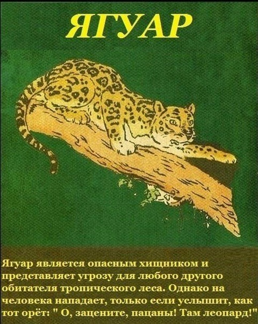 Простые шутки и юмор с просторов сети