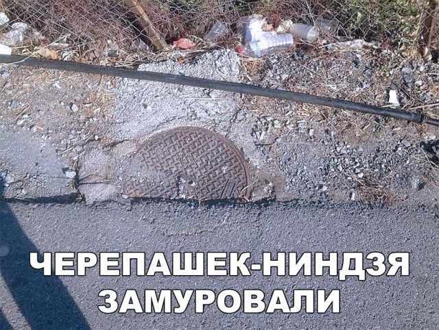 Простые шутки и юмор с просторов сети