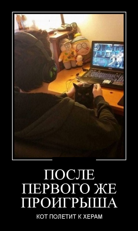 Демотиваторы