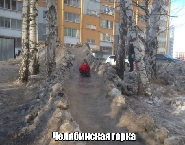 Прикольные картинки