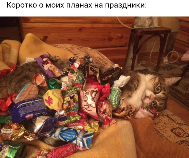 Прикольные картинки