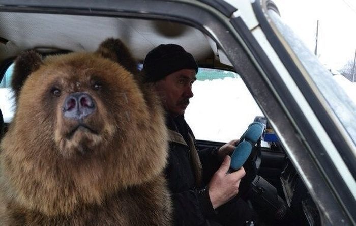 Прикольные фотографии (70 фото)