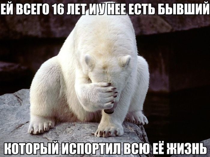 Порция картинок
