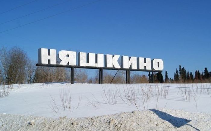 Порция картинок