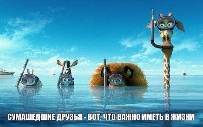 Порция картинок